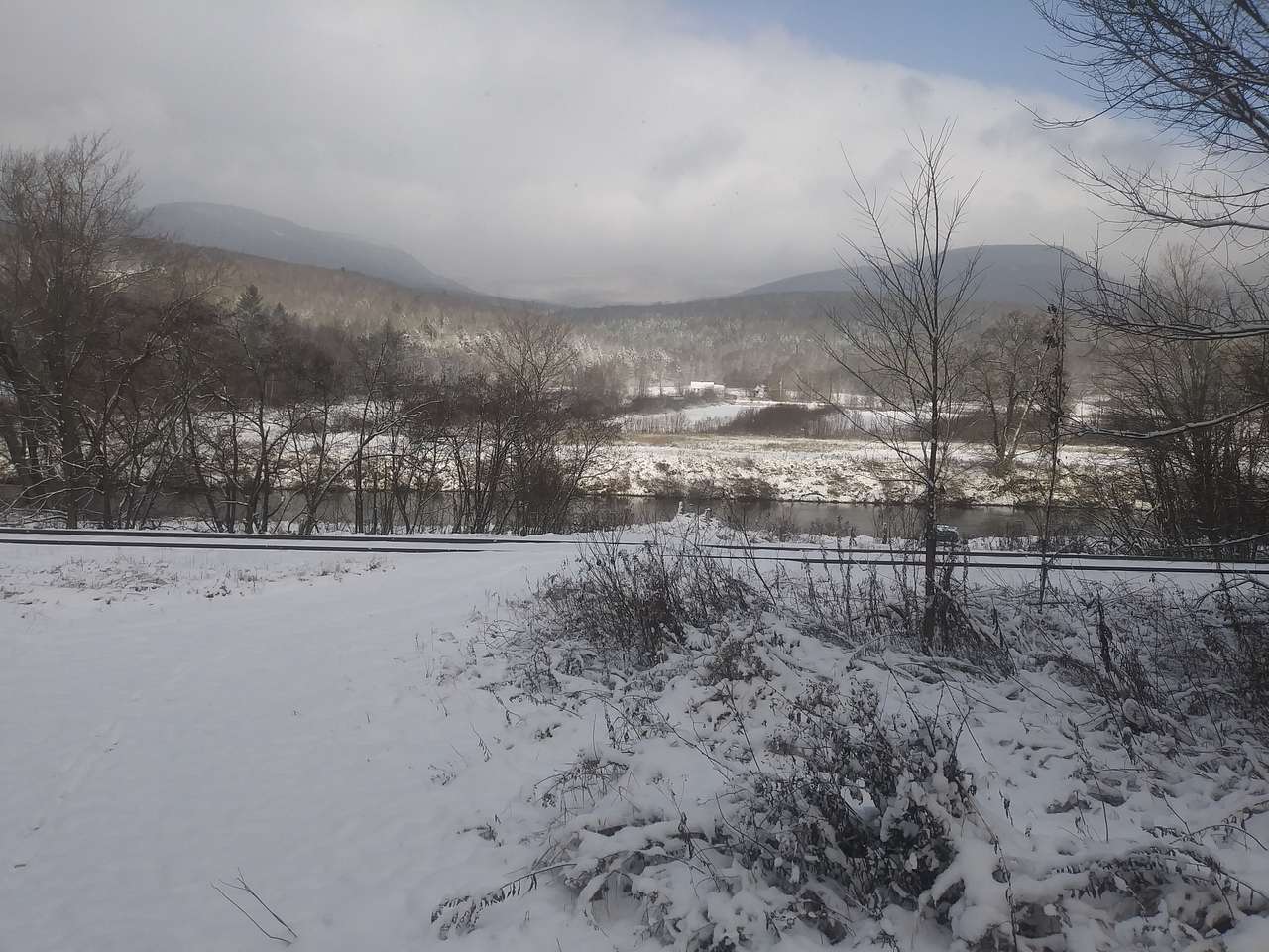 Picture of the site