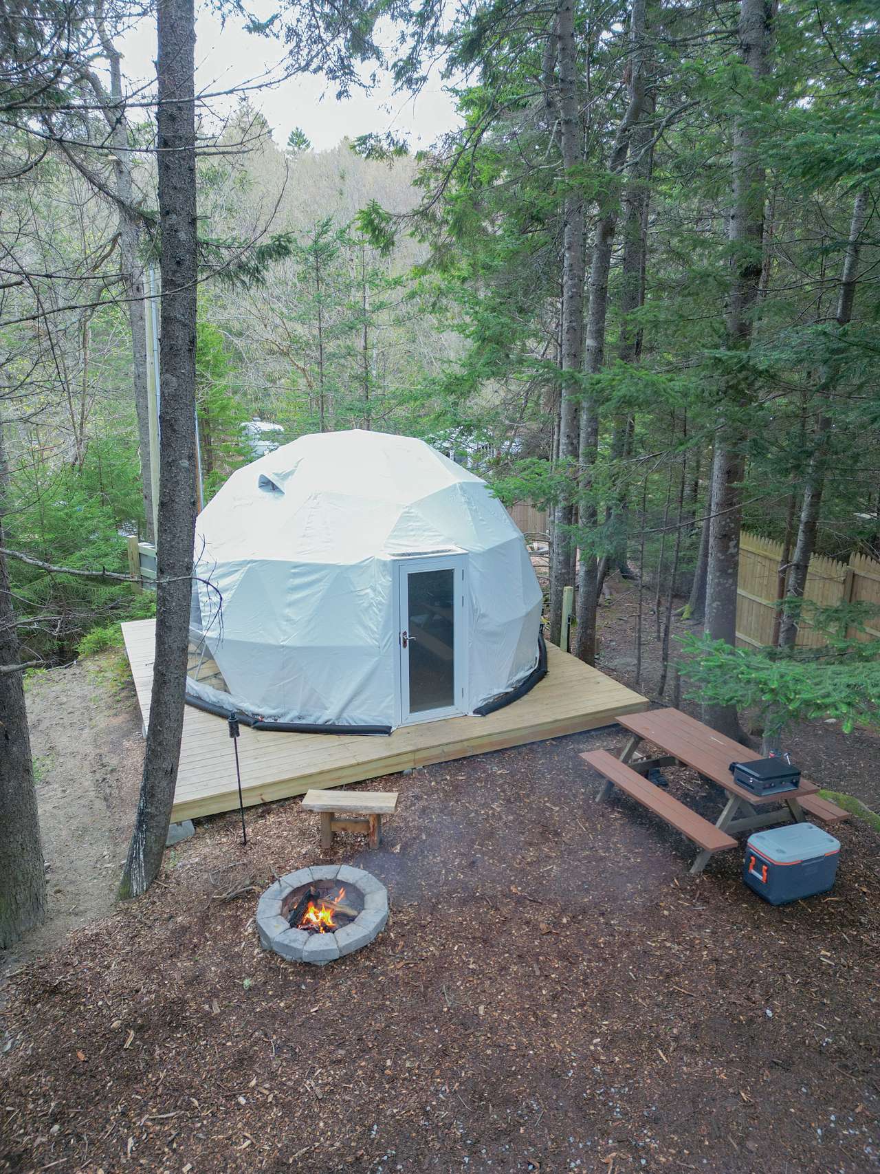 Picture of the site