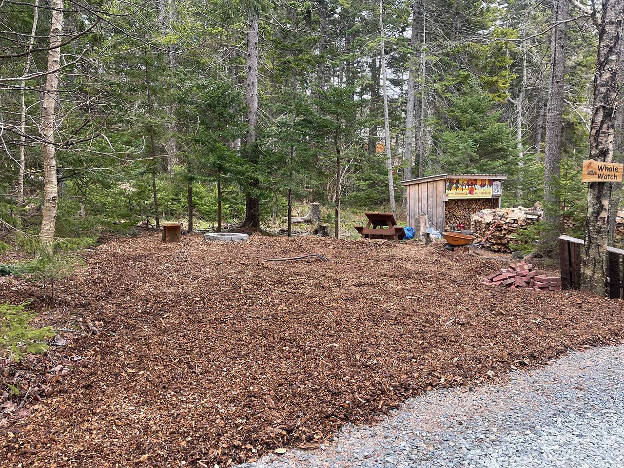 Picture of the site