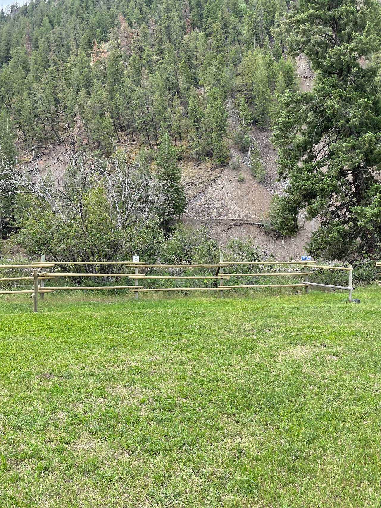 Picture of the site