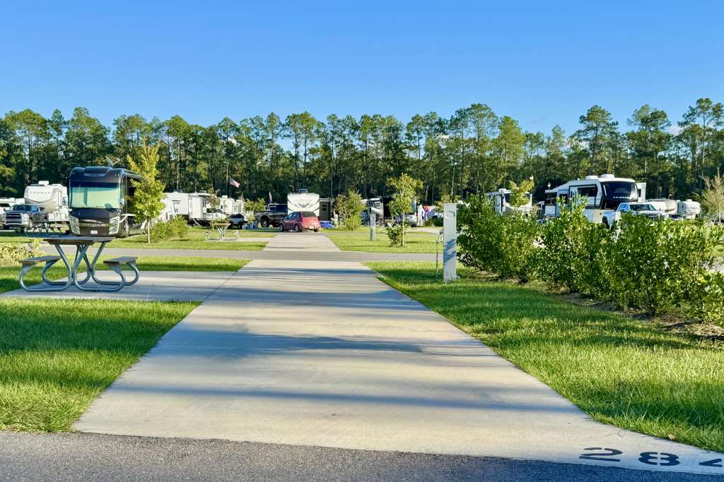 Picture of the site