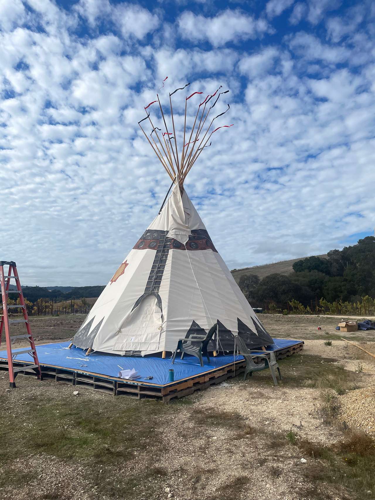 Picture of the site