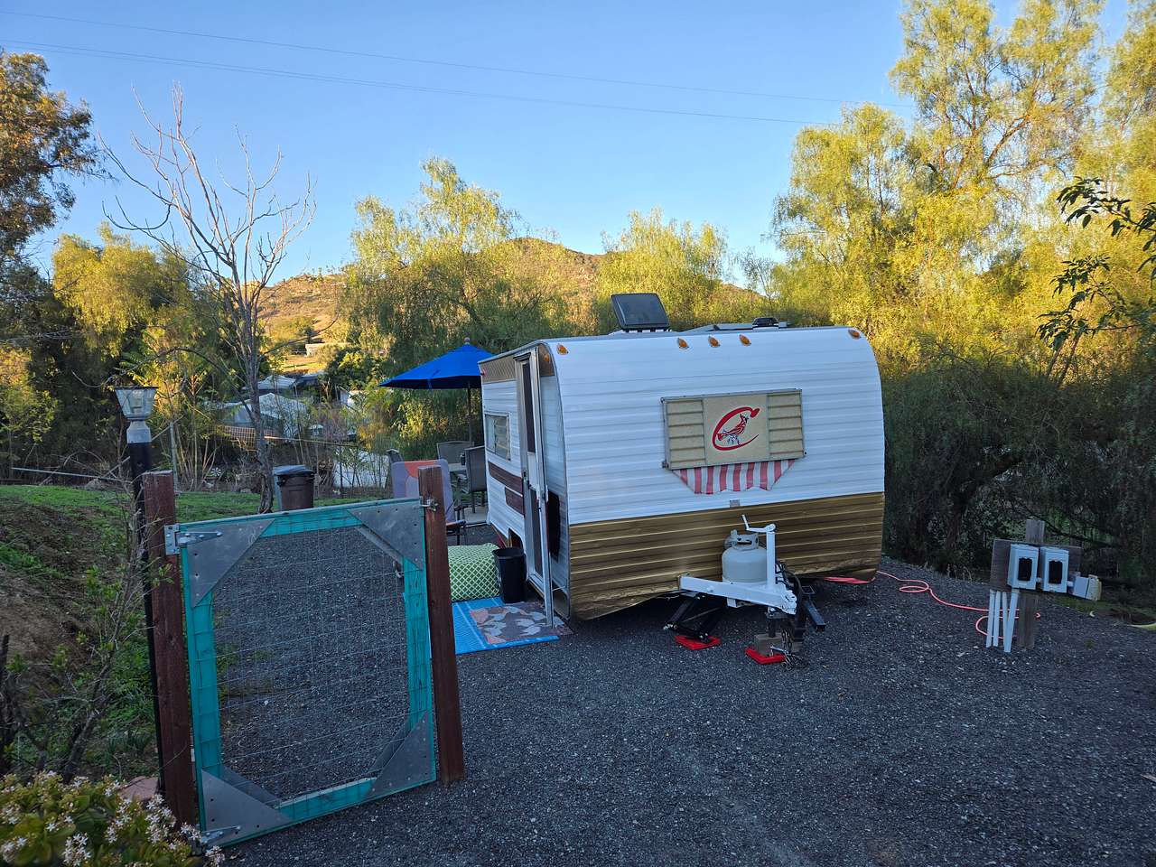 Picture of the site