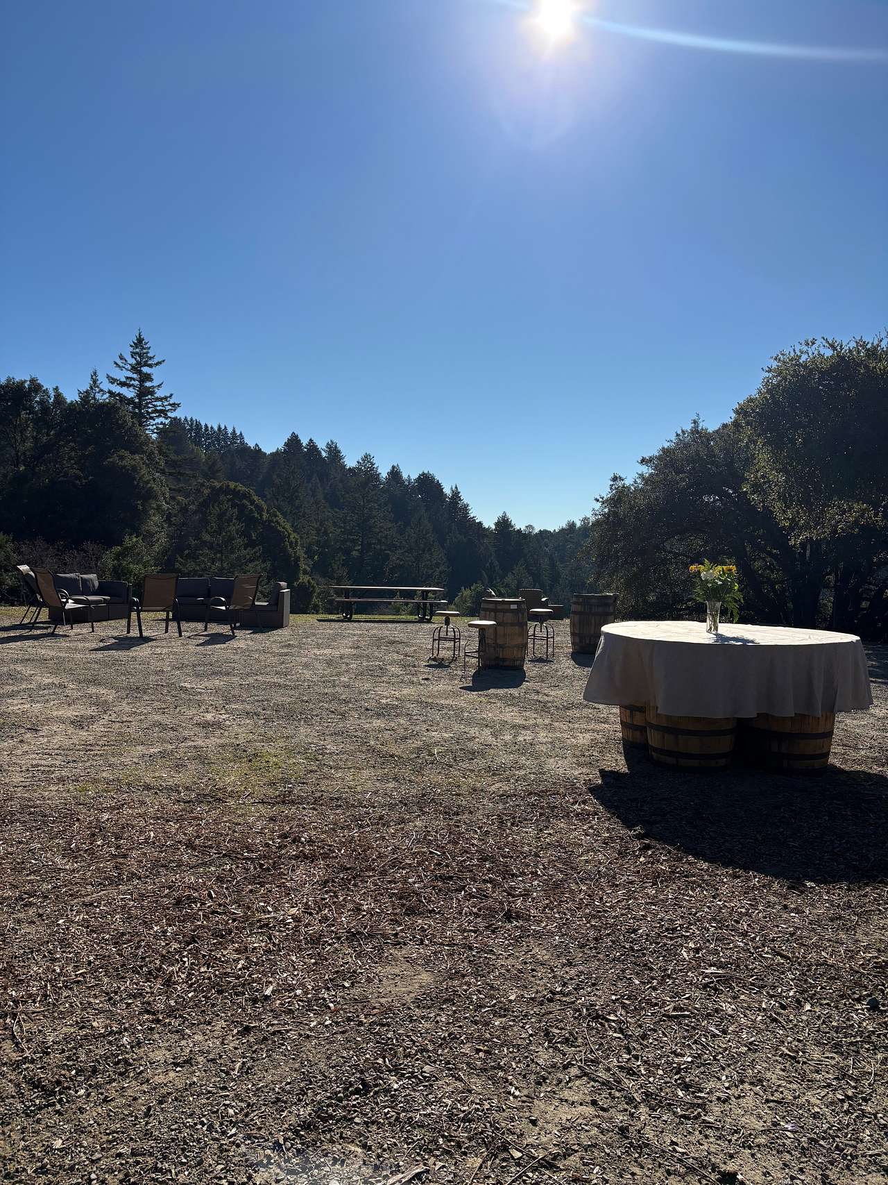 Picture of the site