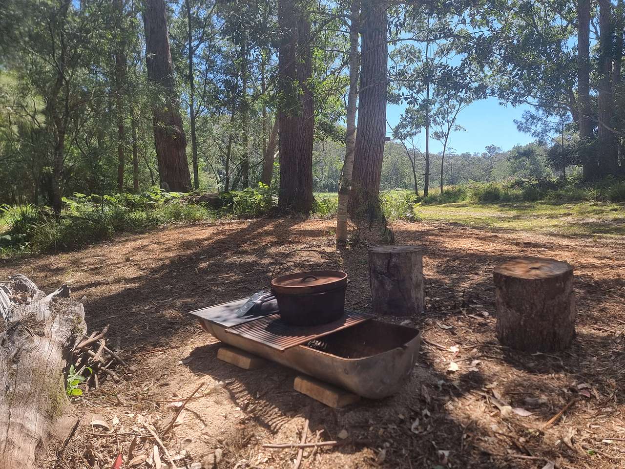 Picture of the site