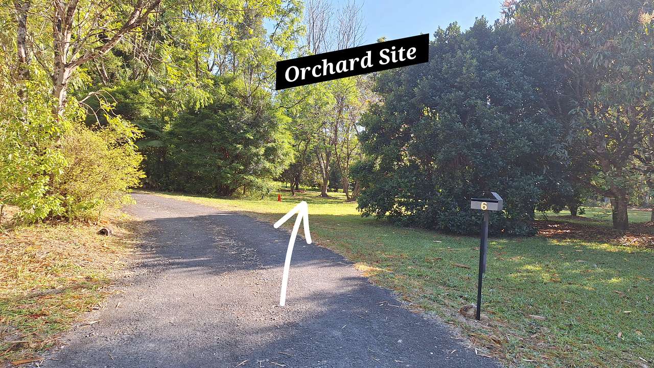 Picture of the site