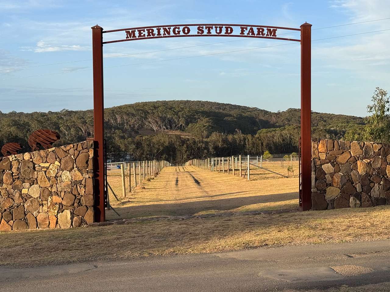 Picture of the site