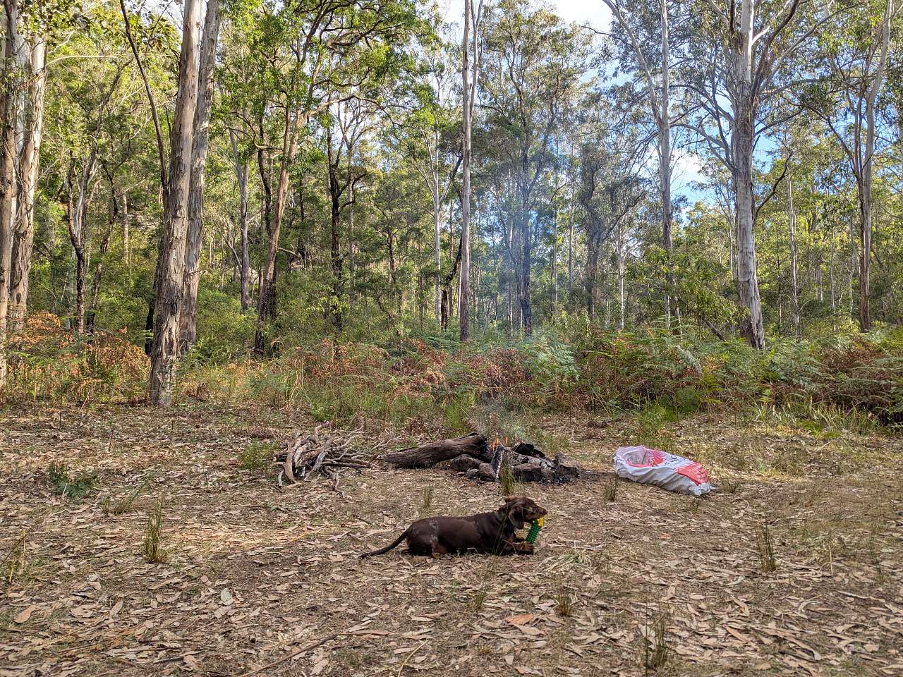 Picture of the site