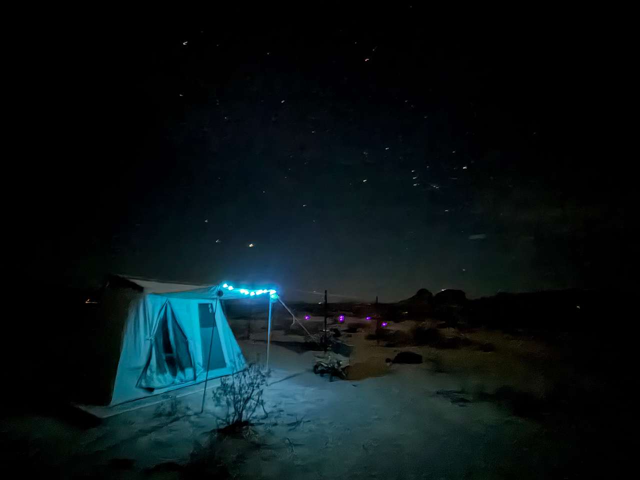Picture of the site