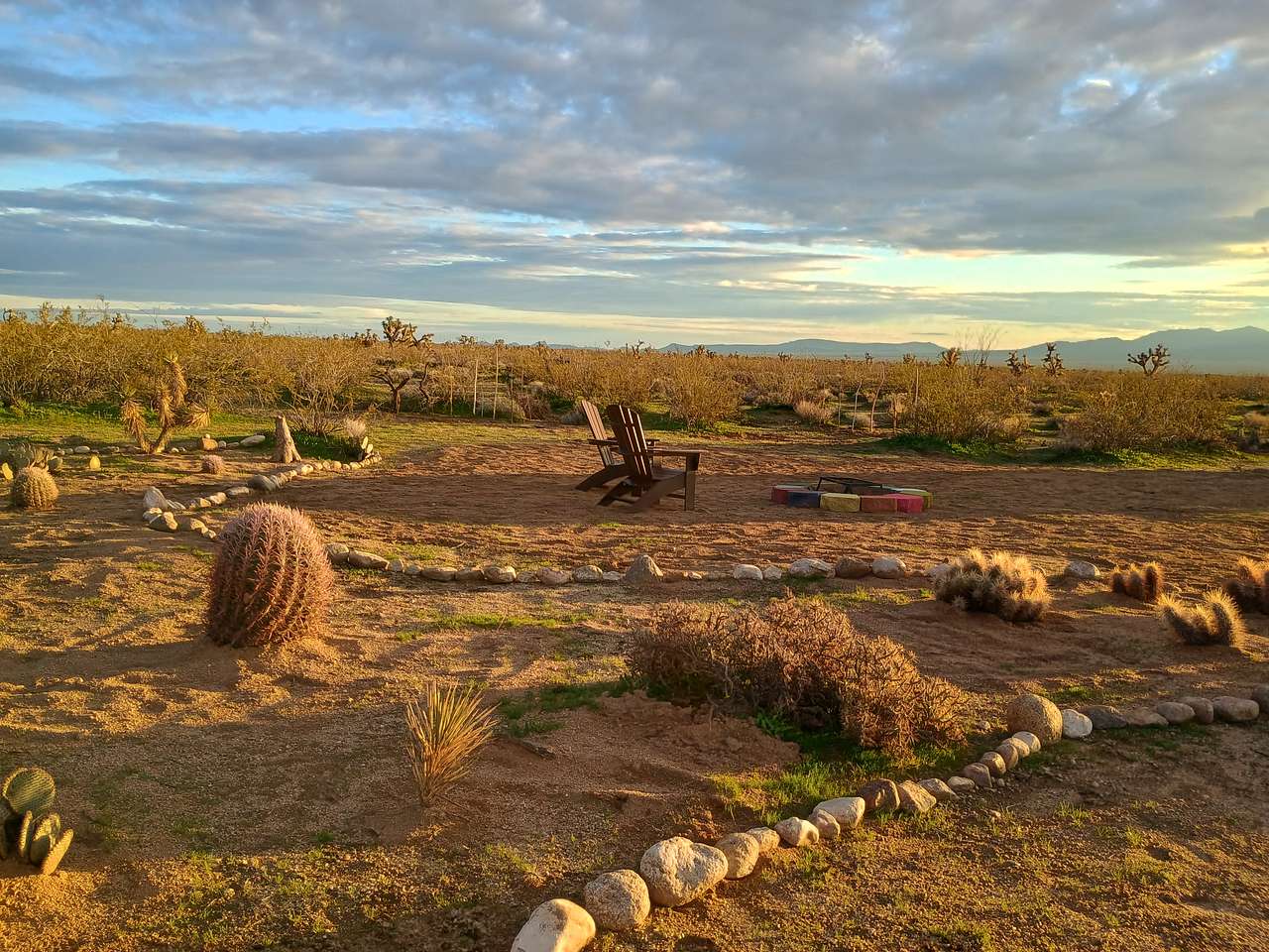 Picture of the site