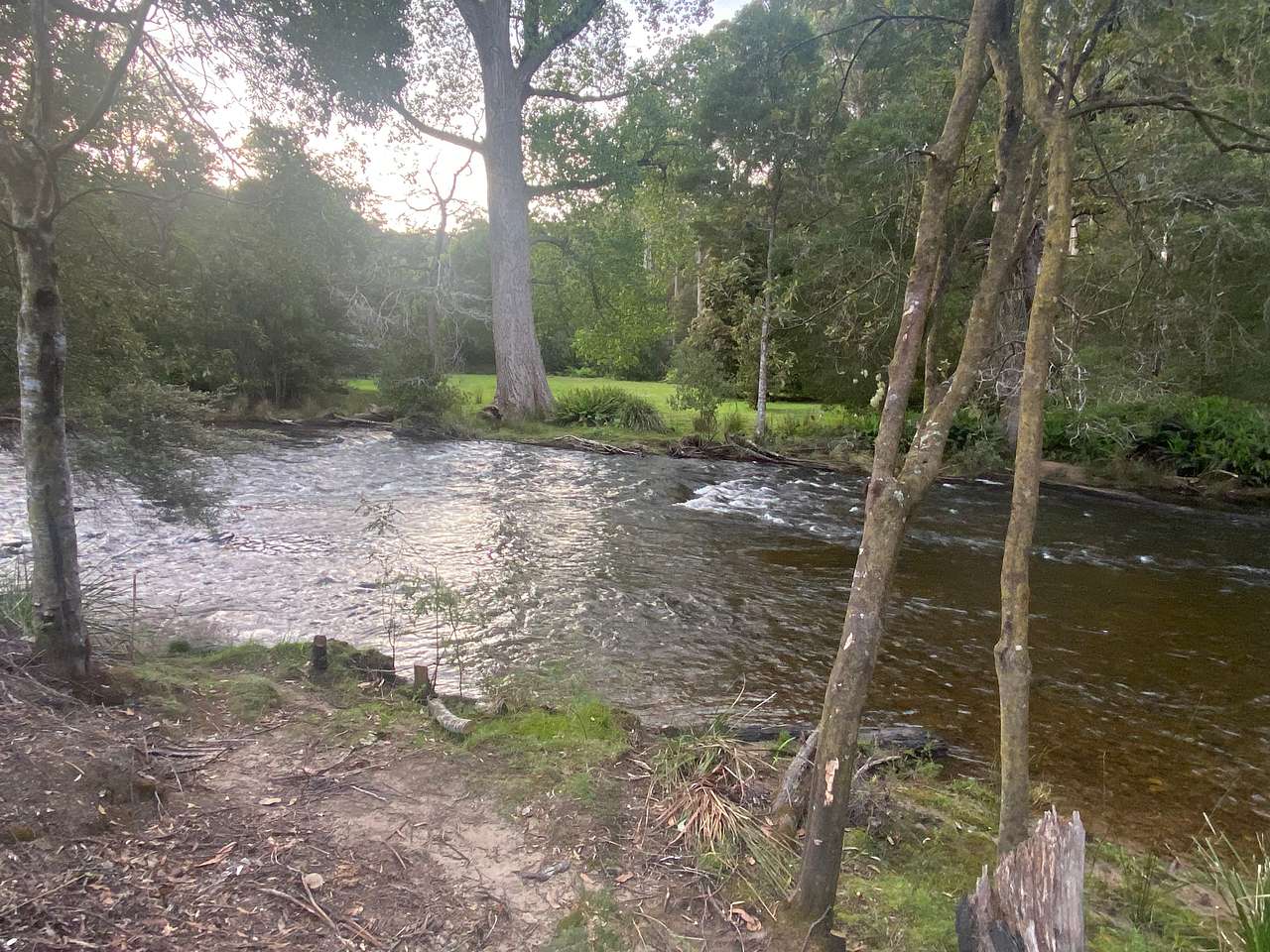 Picture of the site