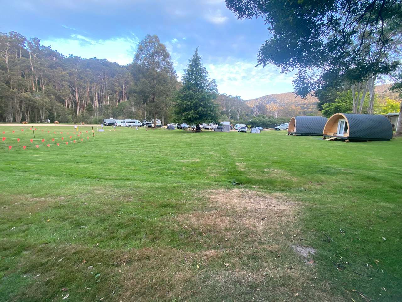 Picture of the site