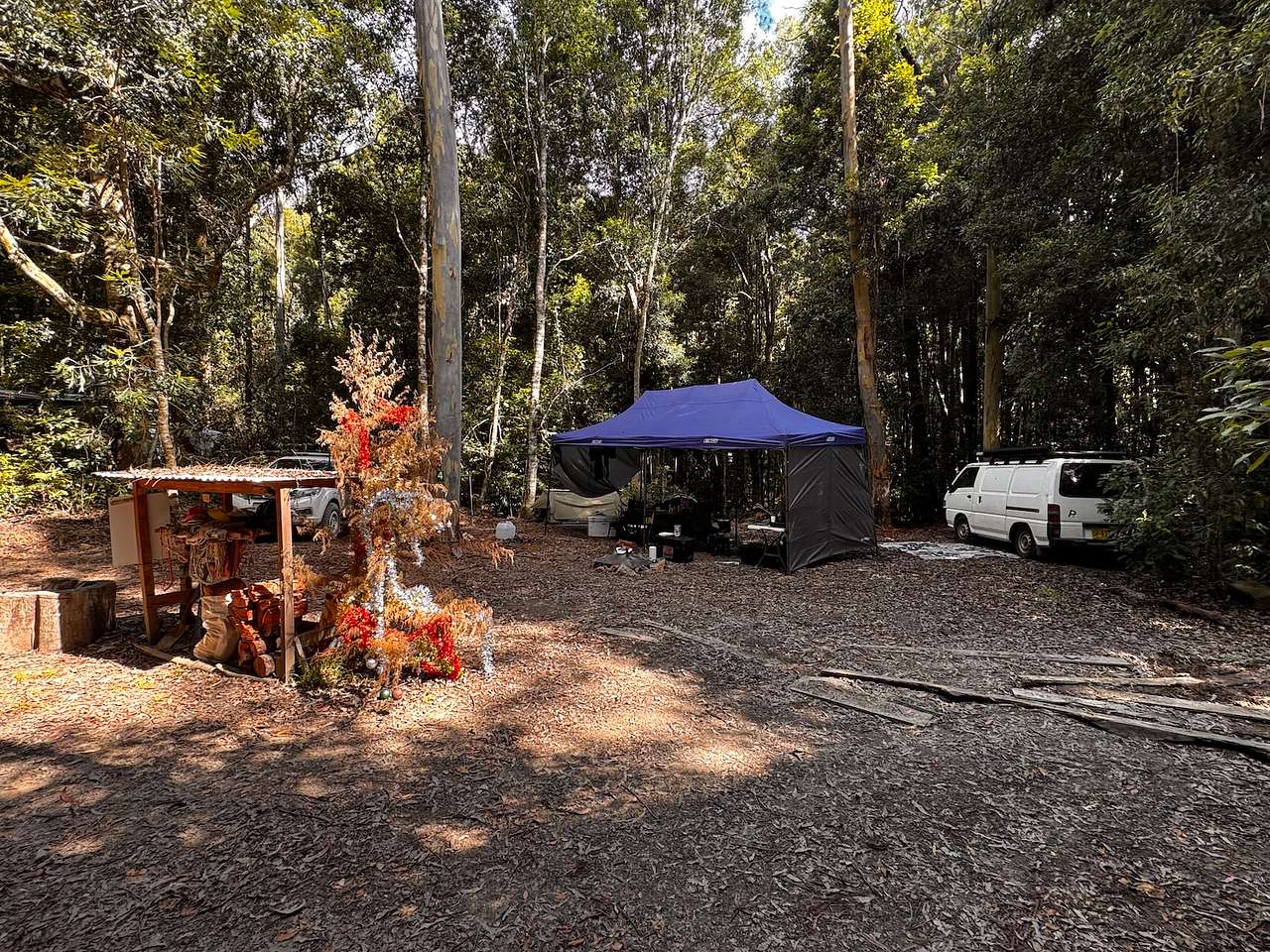 Picture of the site