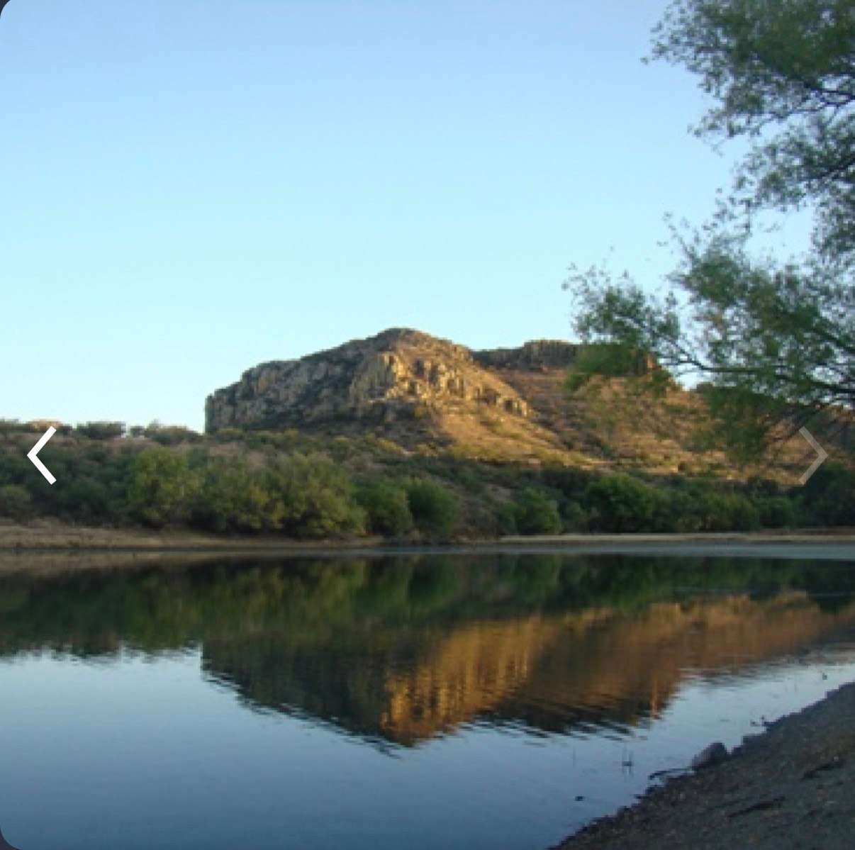 Picture of the site