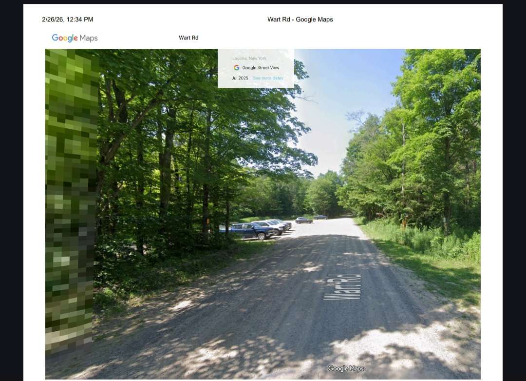 Picture of the site