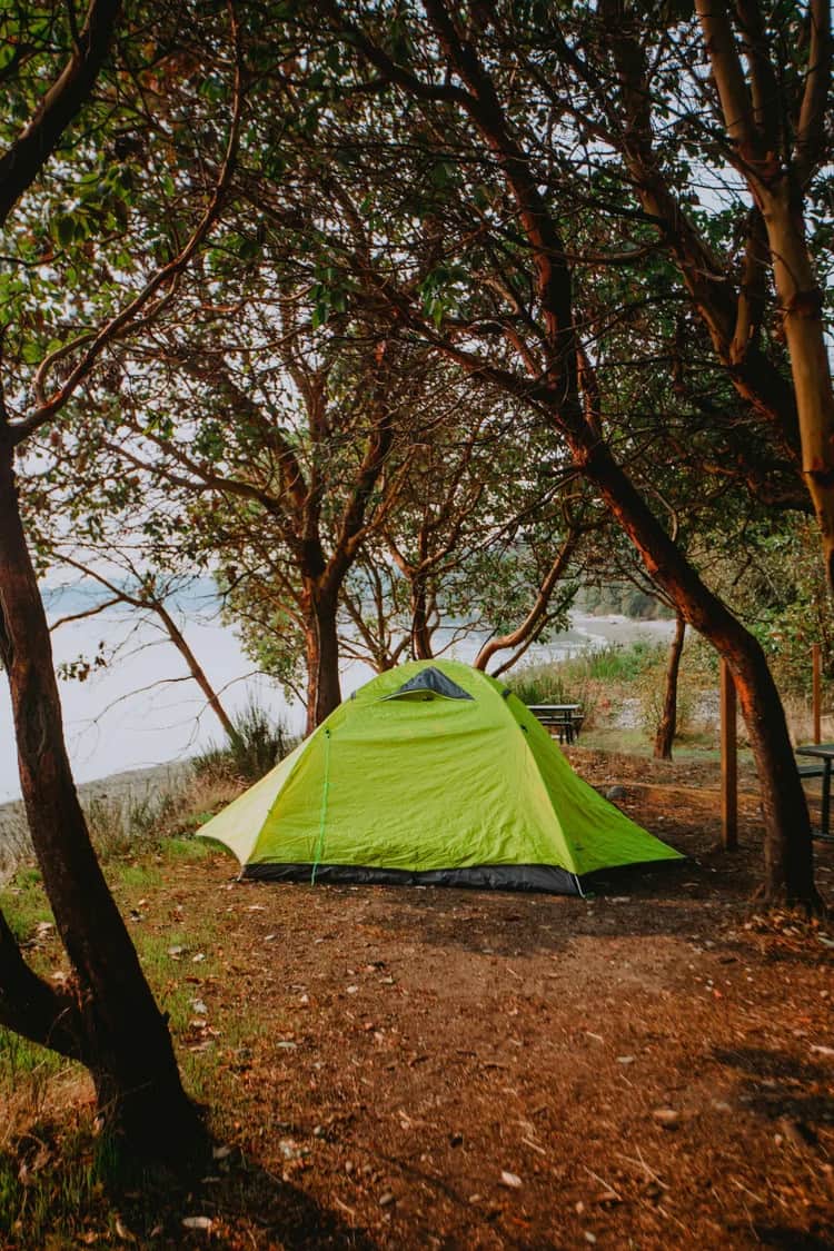 Picture of the site
