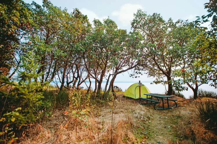 Picture of the site
