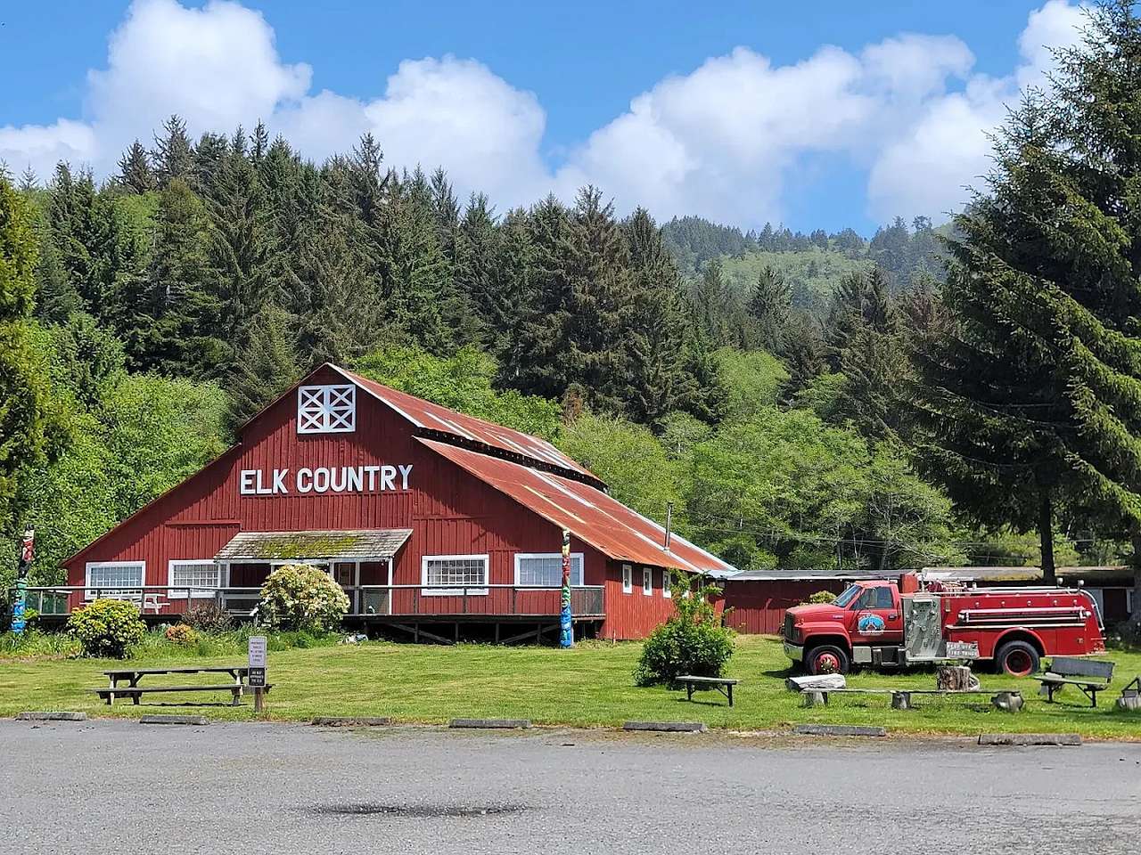 Picture of the site