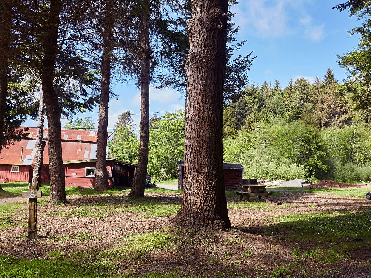 Picture of the site