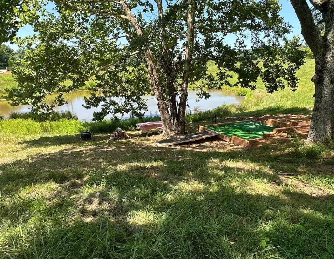 Picture of the site