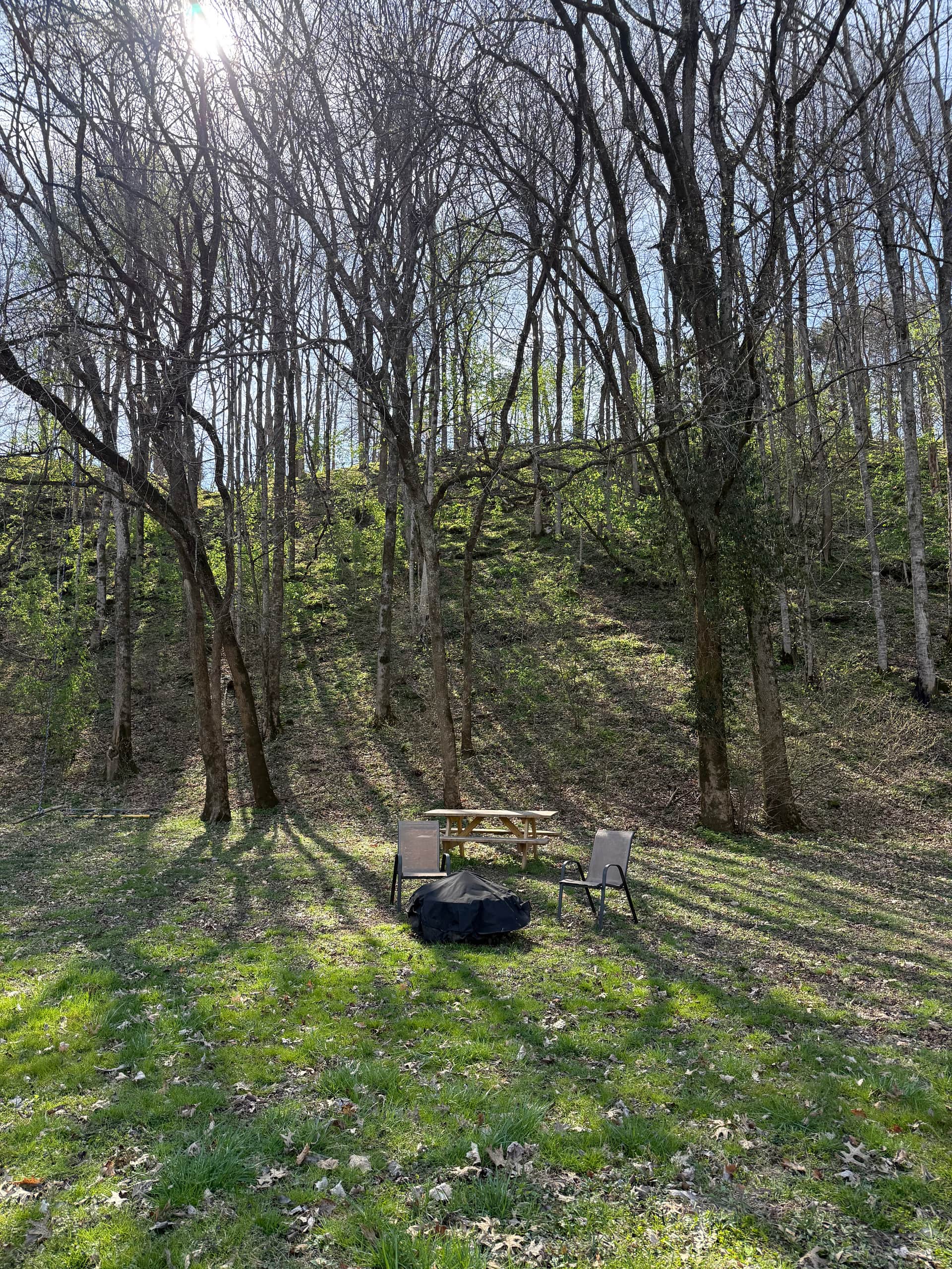 Picture of the site