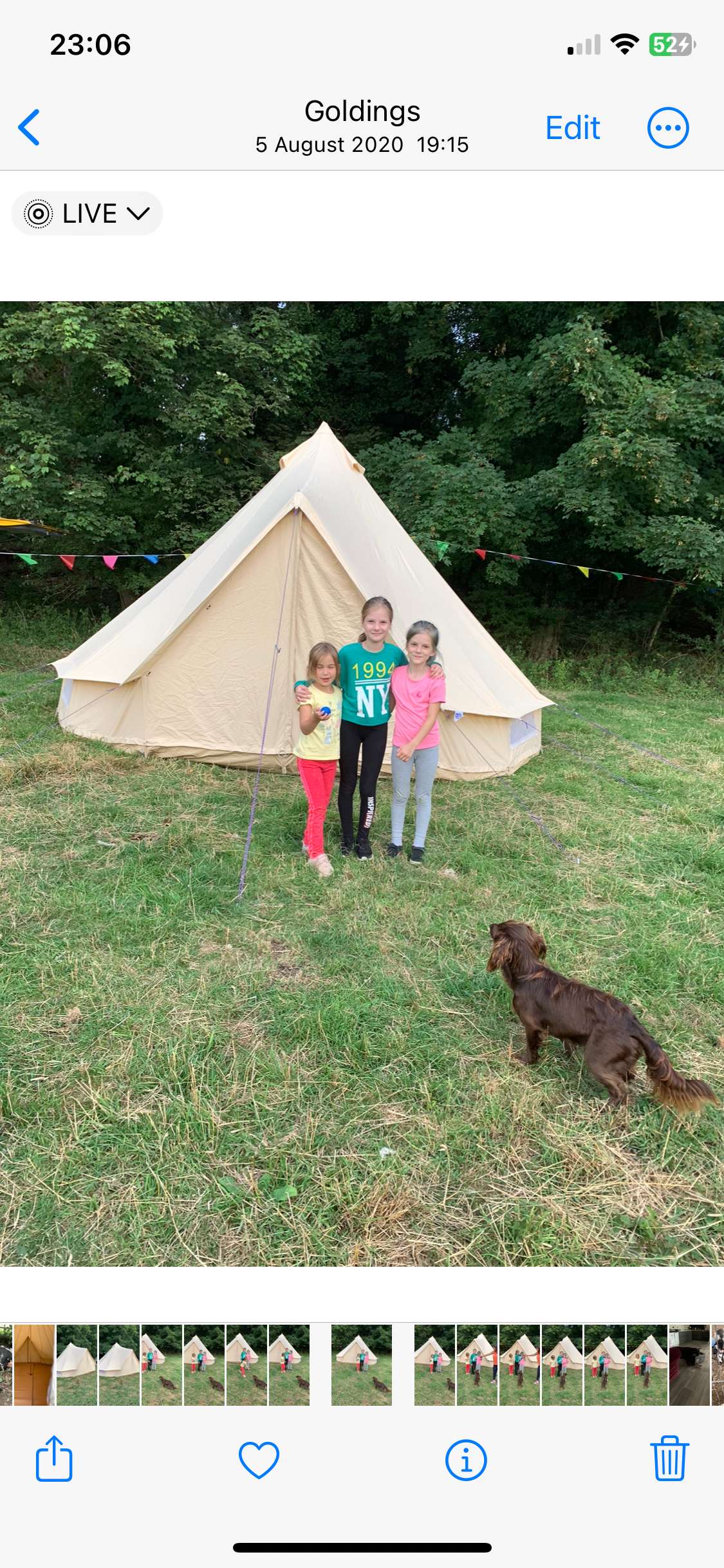 View pets photos of Riverside Farm experience fire & activities