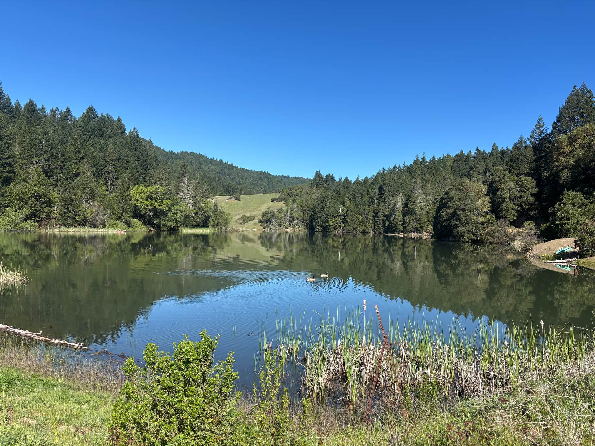Picture of the site
