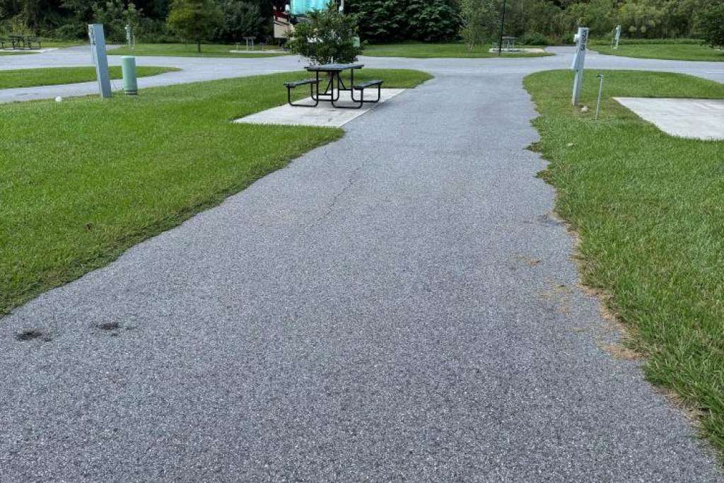Picture of the site