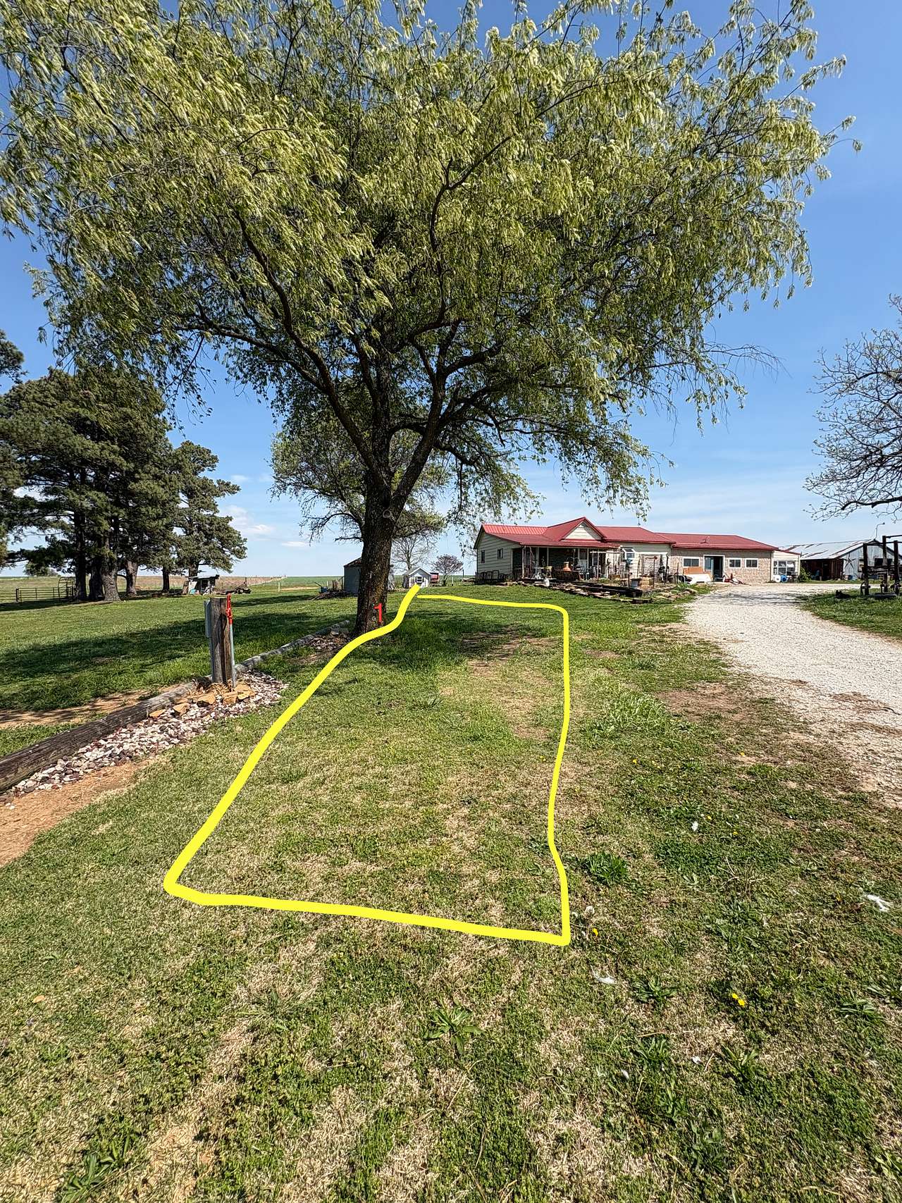 Picture of the site