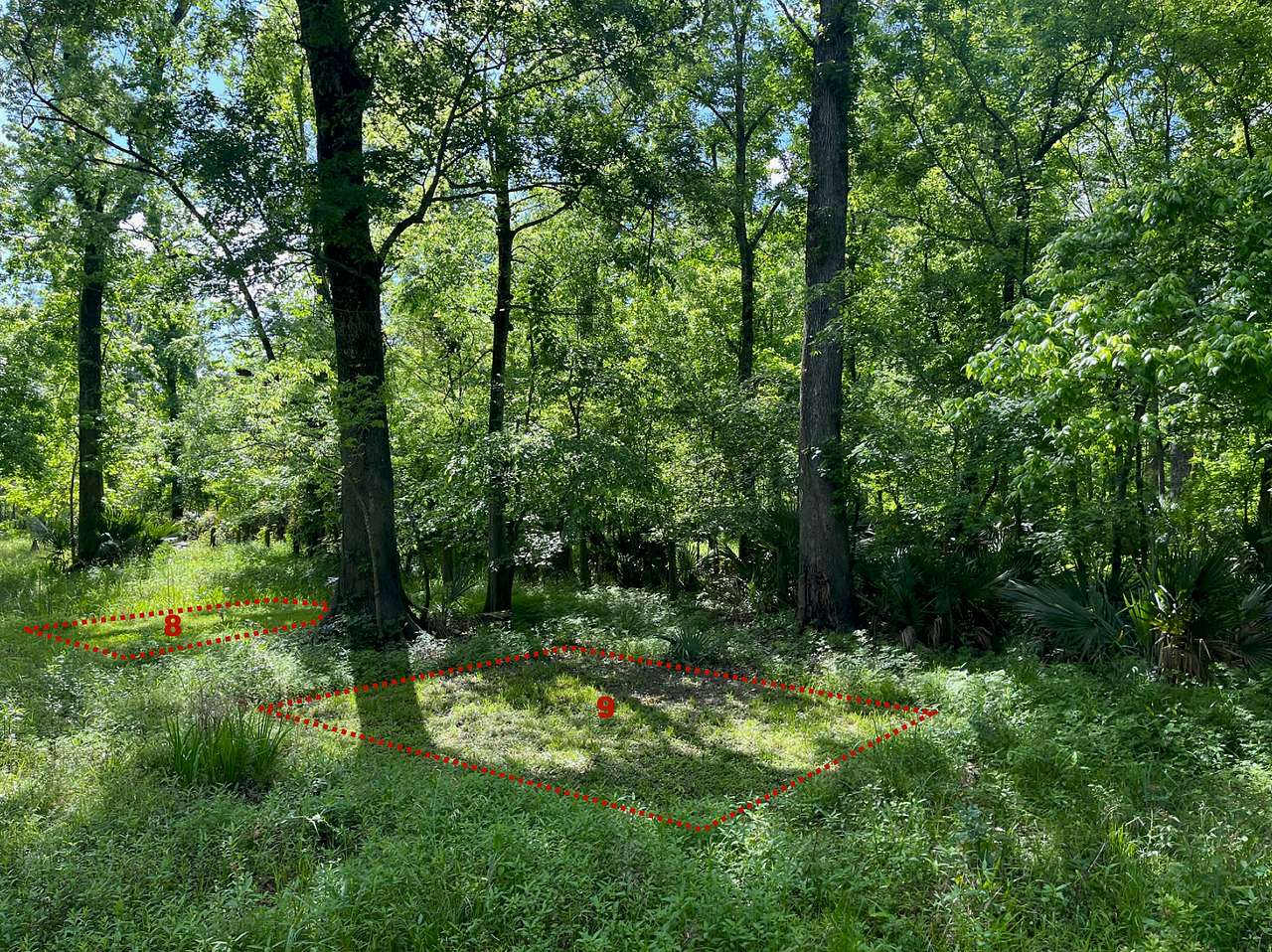 Picture of the site