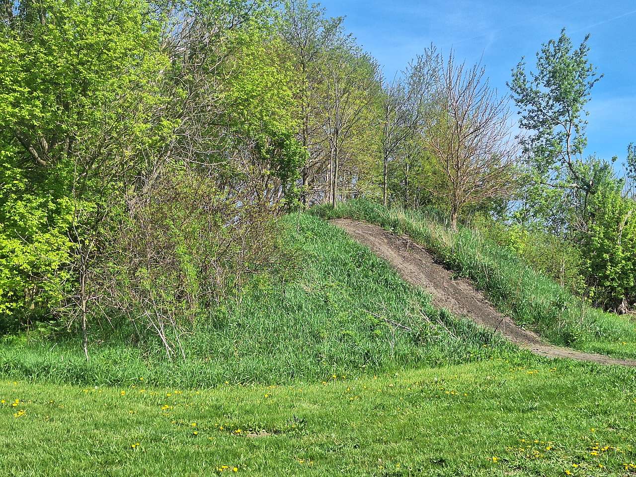 Picture of the site