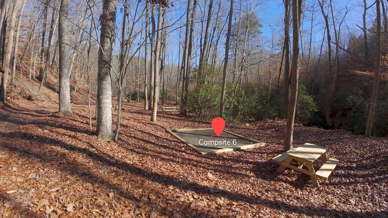 Picture of the site