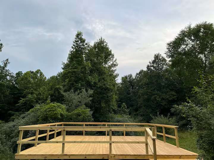 Picture of the site