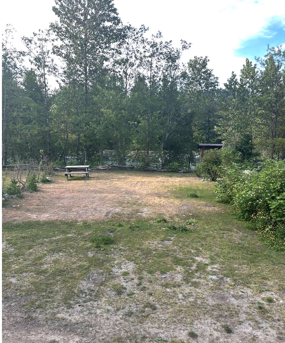 Picture of the site