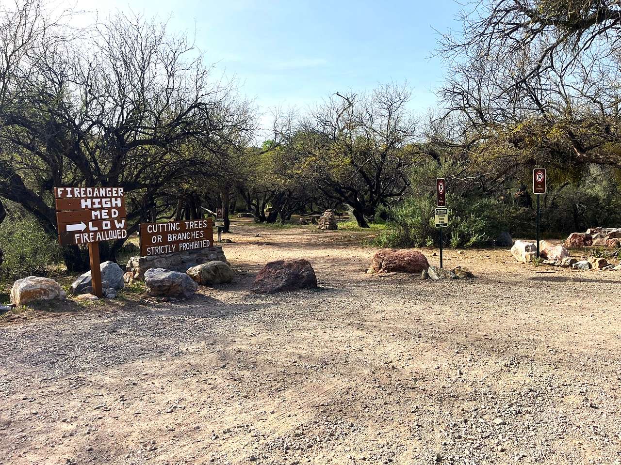 Picture of the site