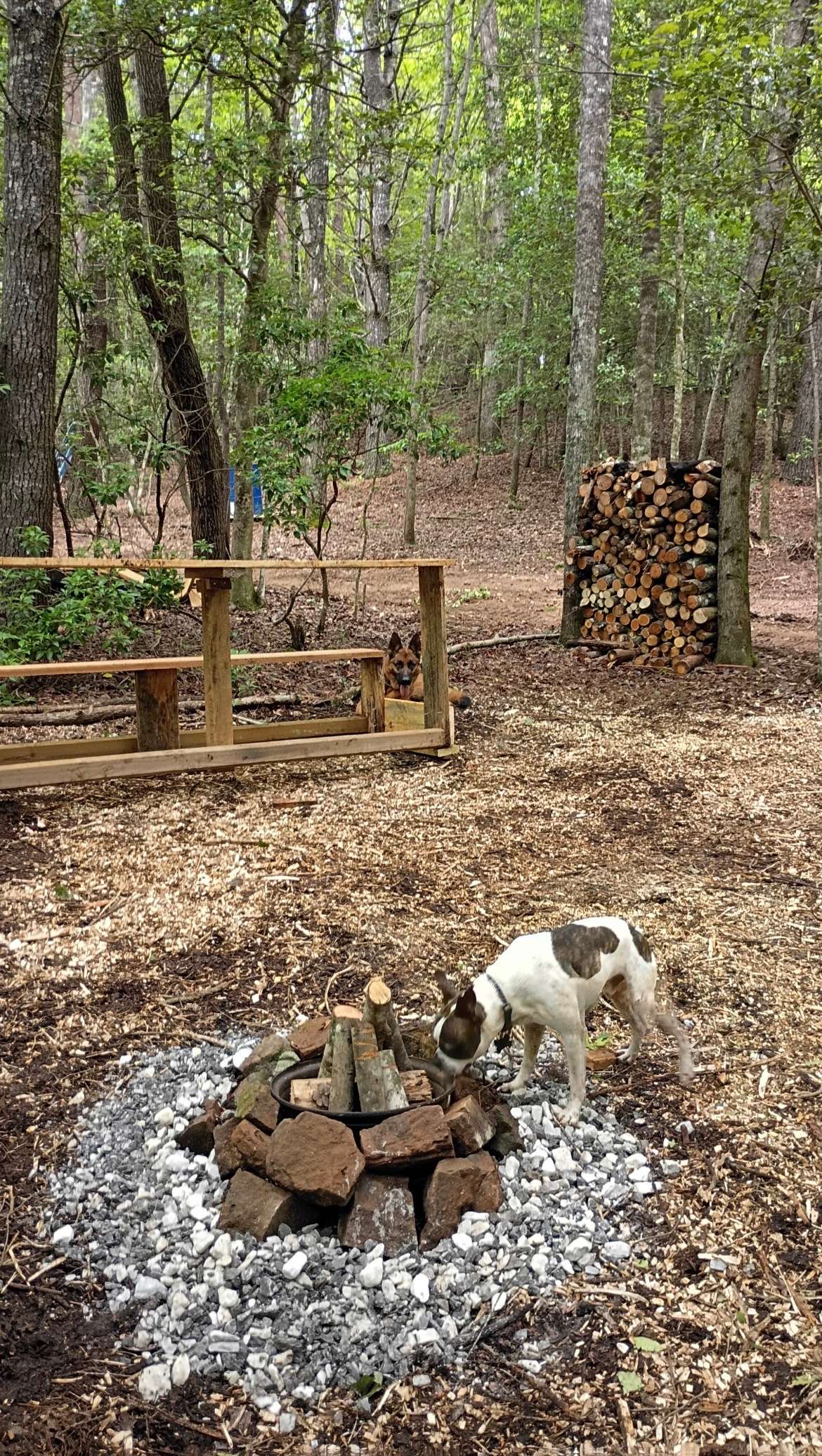Picture of the site