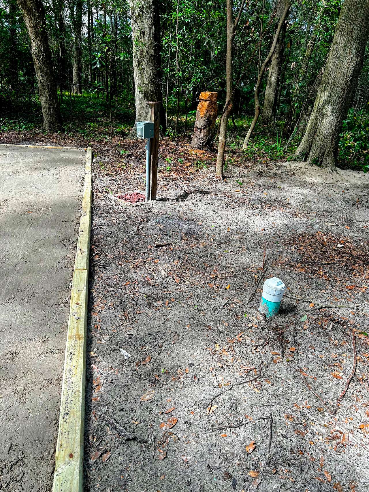 Picture of the site