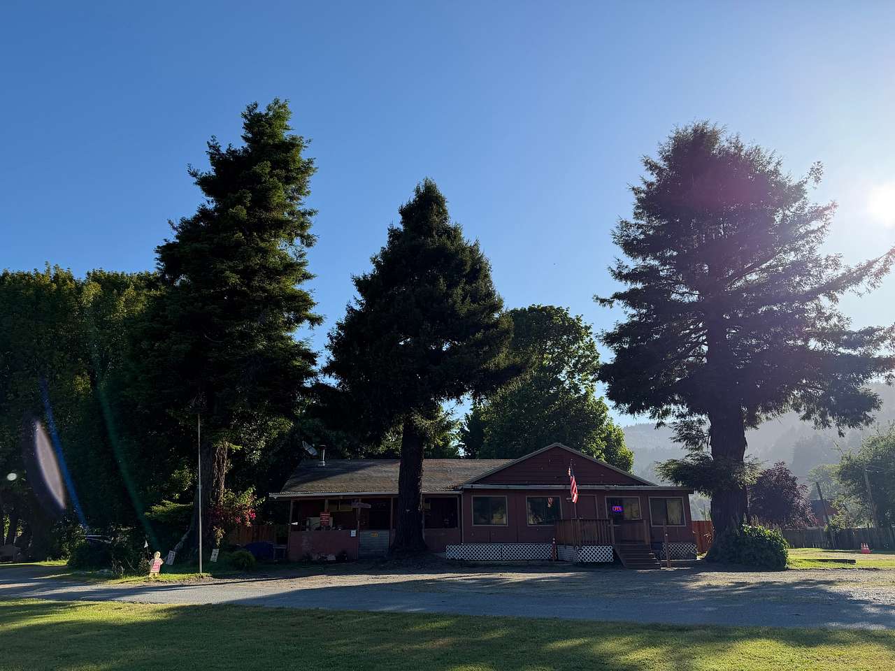Picture of the site