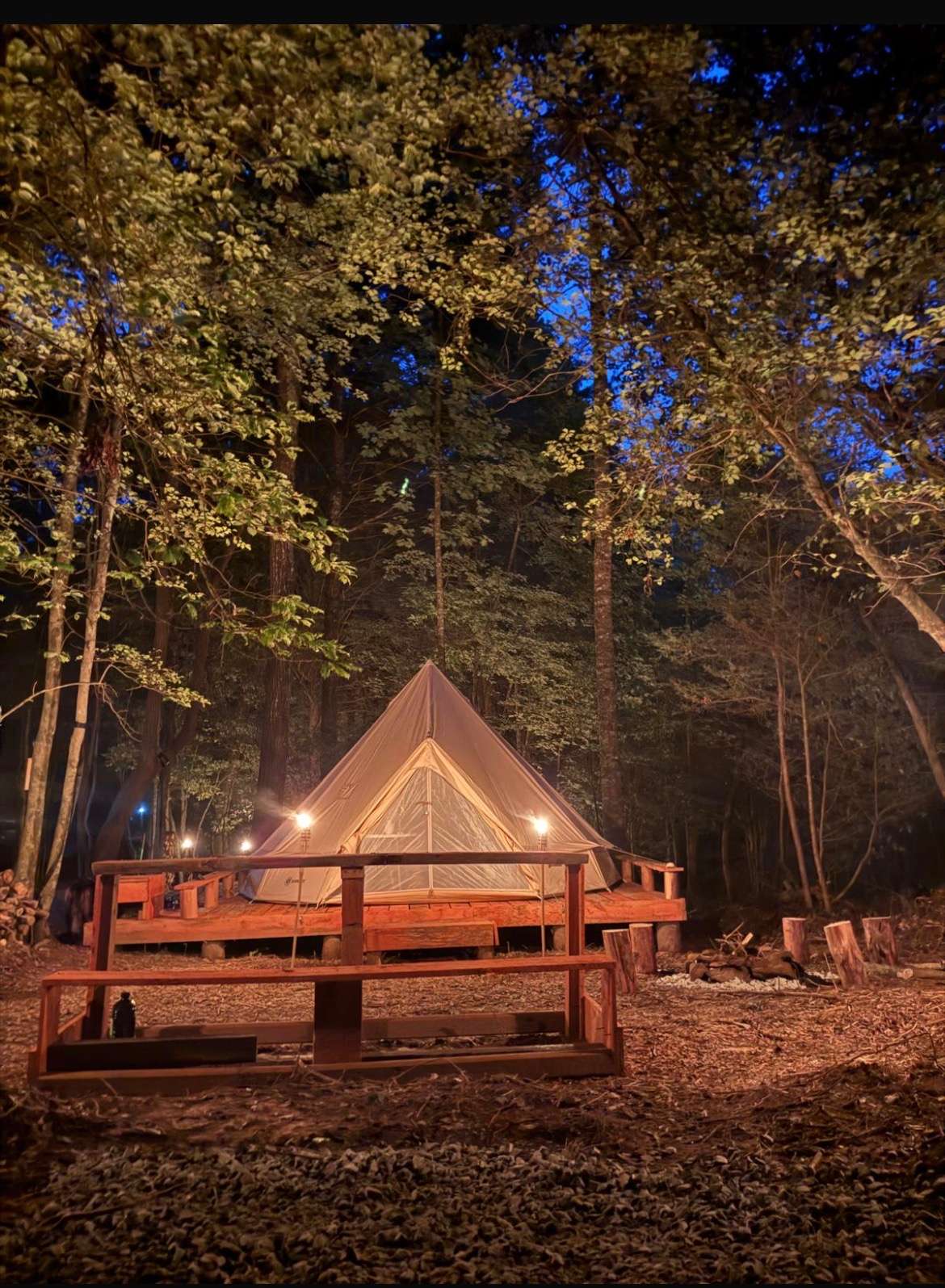 Picture of the site