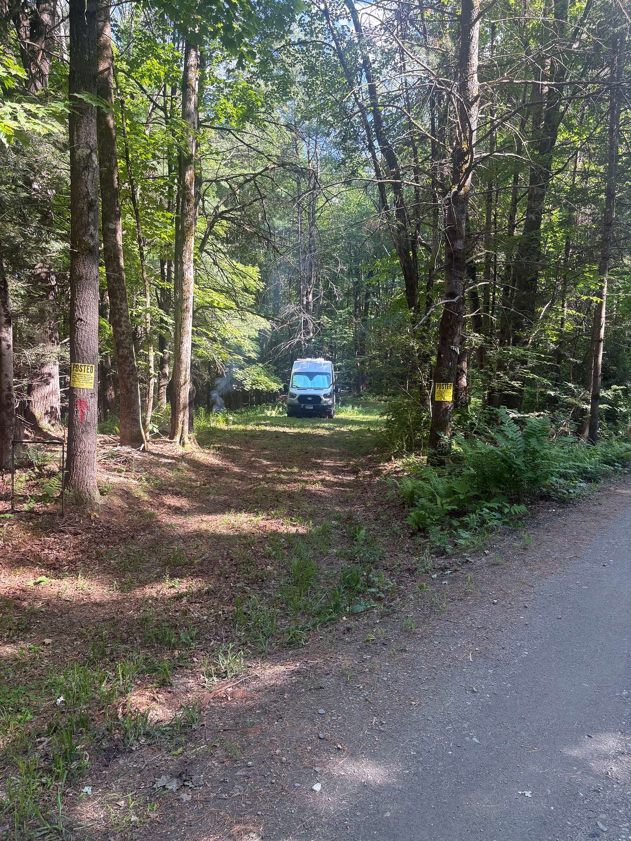 Picture of the site