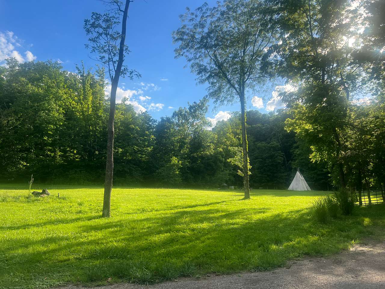 Picture of the site