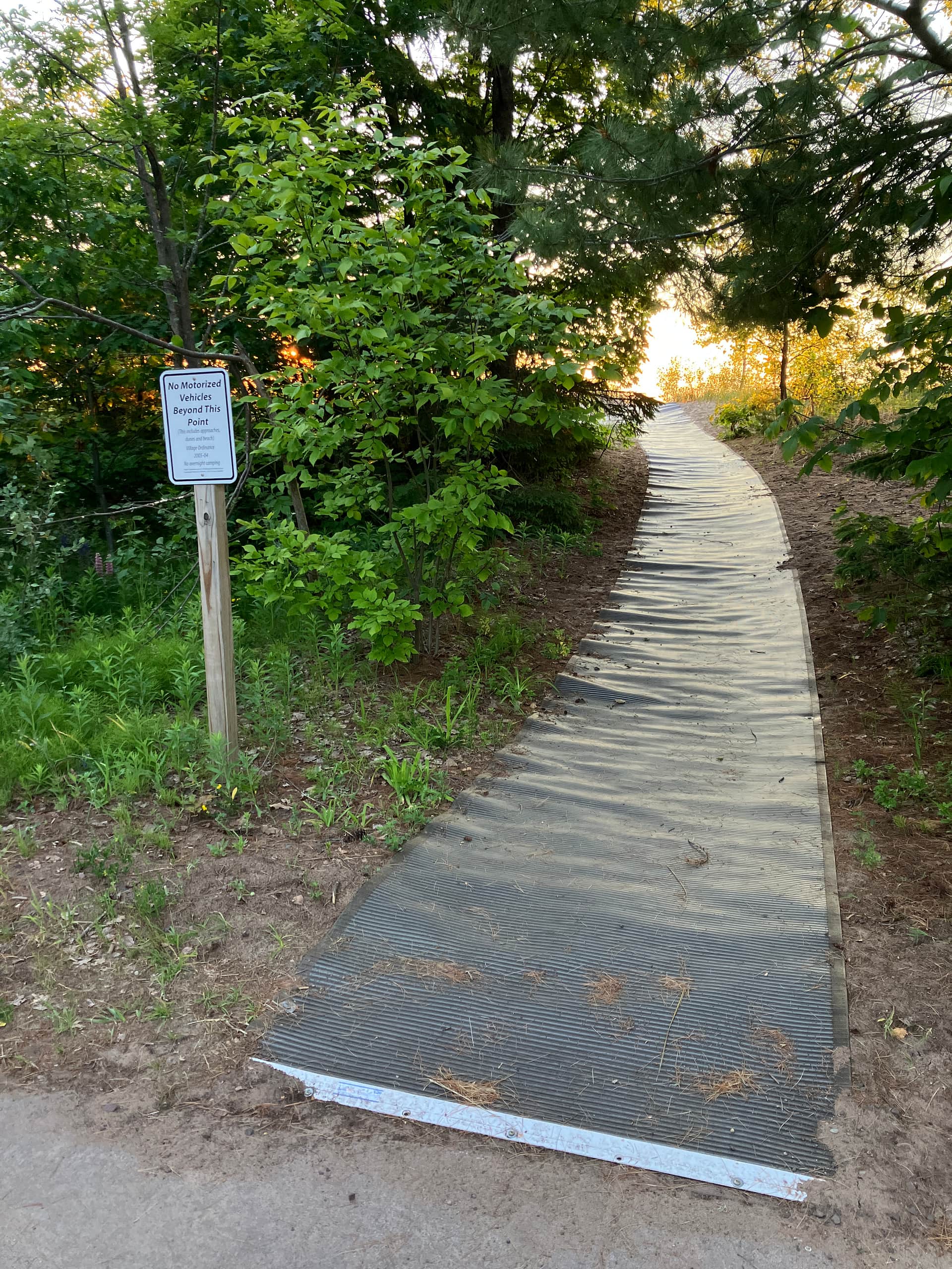 Picture of the site
