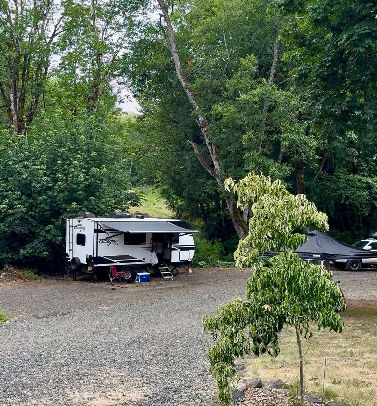 Picture of the site