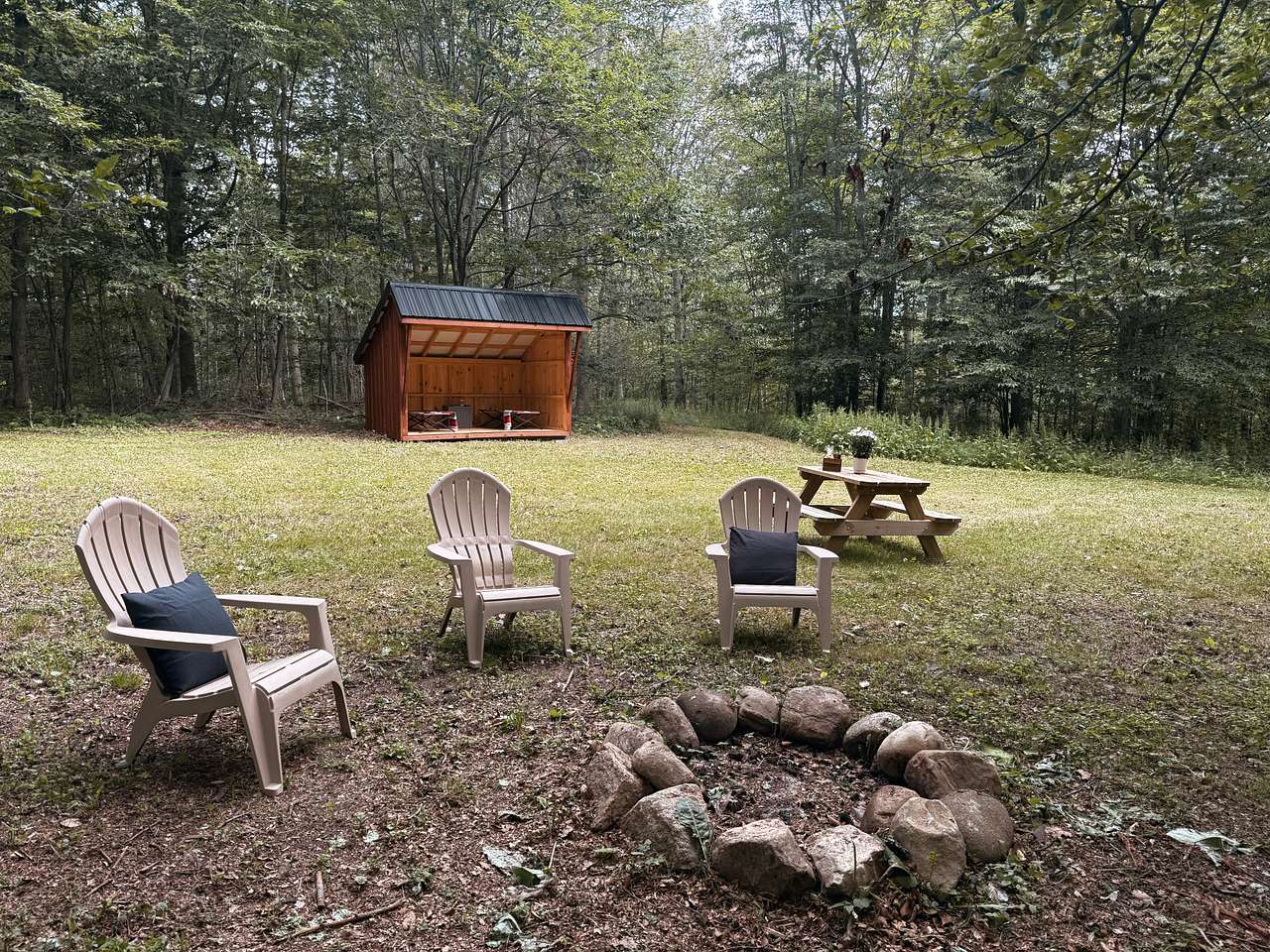 Picture of the site