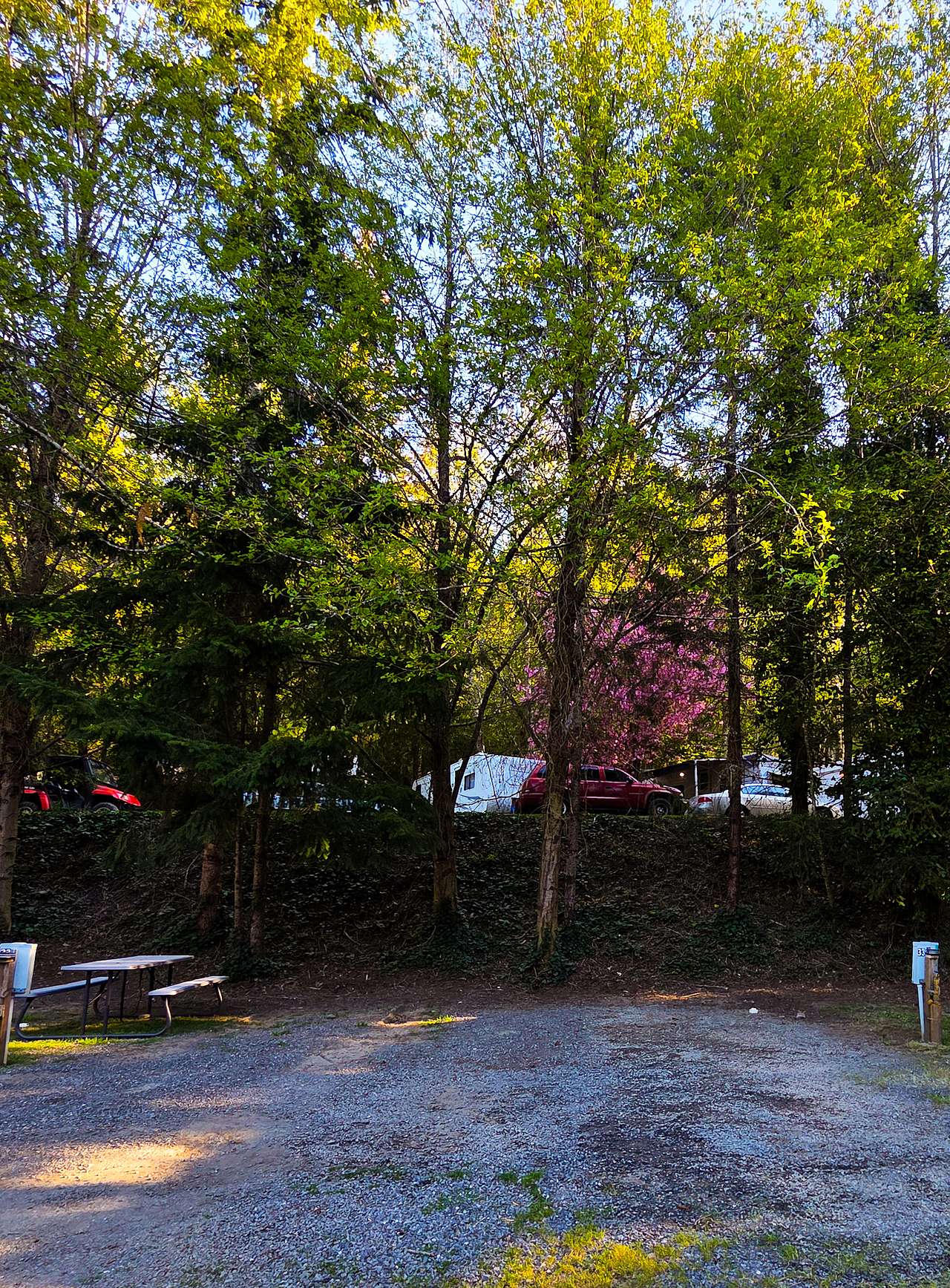 Picture of the site