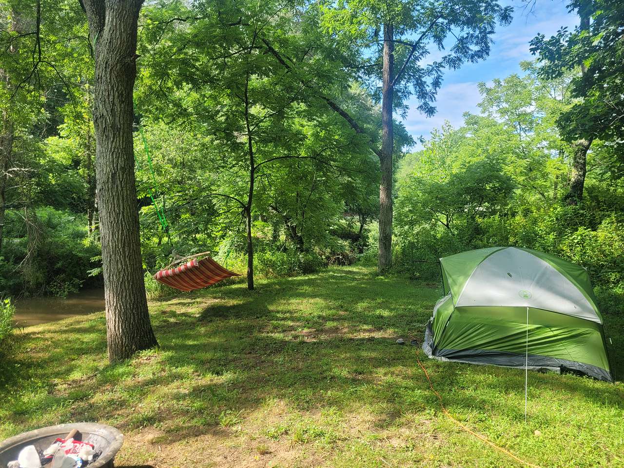 Picture of the site