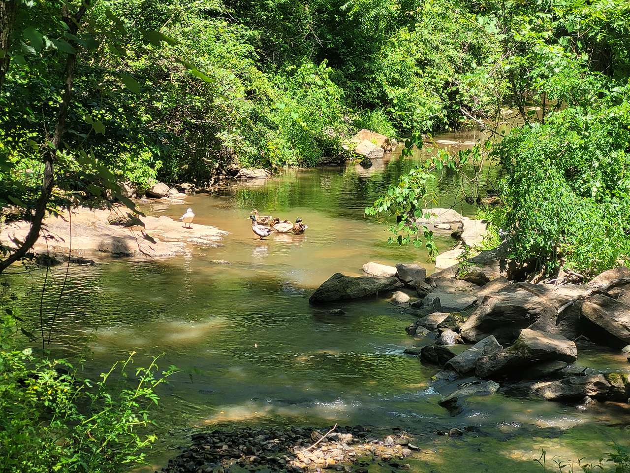 Picture of the site