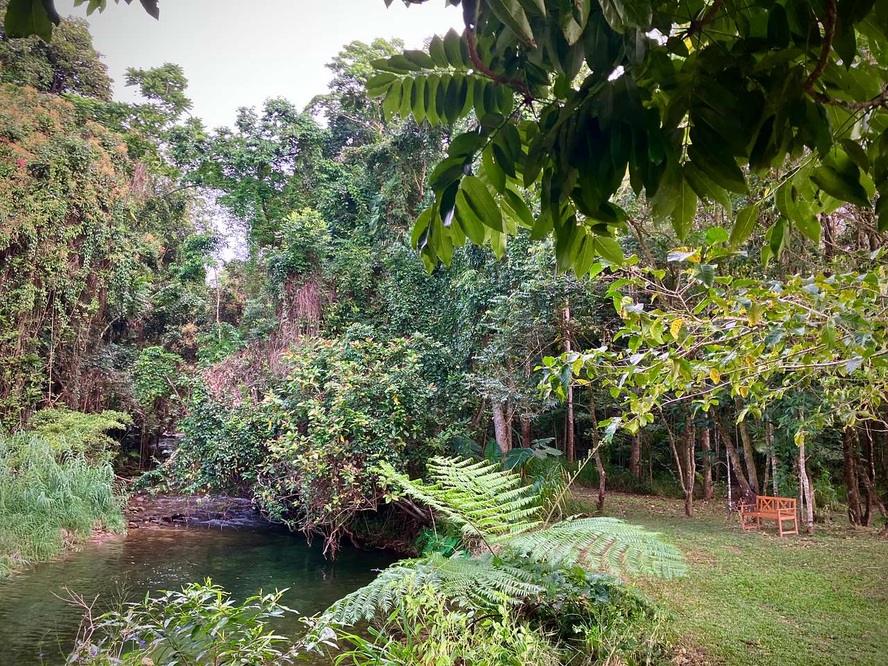 View more photos of Figtree Creek Oasis