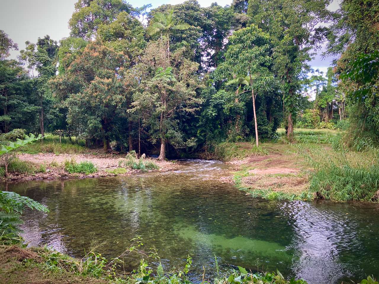 View more photos of Figtree Creek Oasis