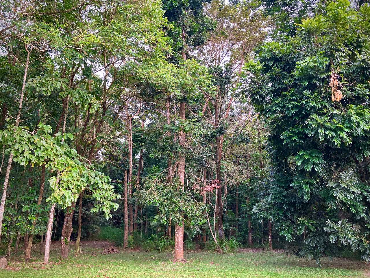 Photo 1 of 6 of Figtree Creek Oasis
